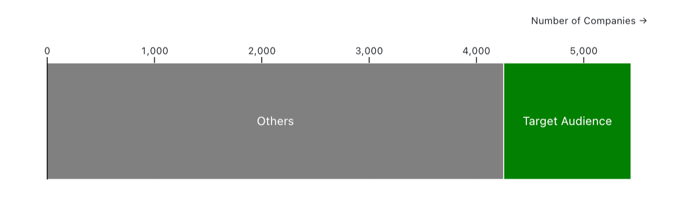 Visual 1 - Audience Split: Target Audience and Others
